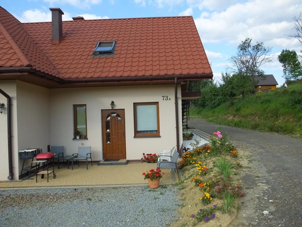 Pensjonat Na Zielonym Wzgorzu Zawóz Exteriér fotografie